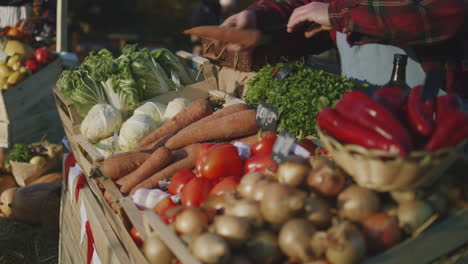 farmer lays out vegetables farmer lays out vegetables owner of point of sale looks forward to the start of a productive work day senior woman engages favorite job vegetarian and organic food agriculture closeup view
