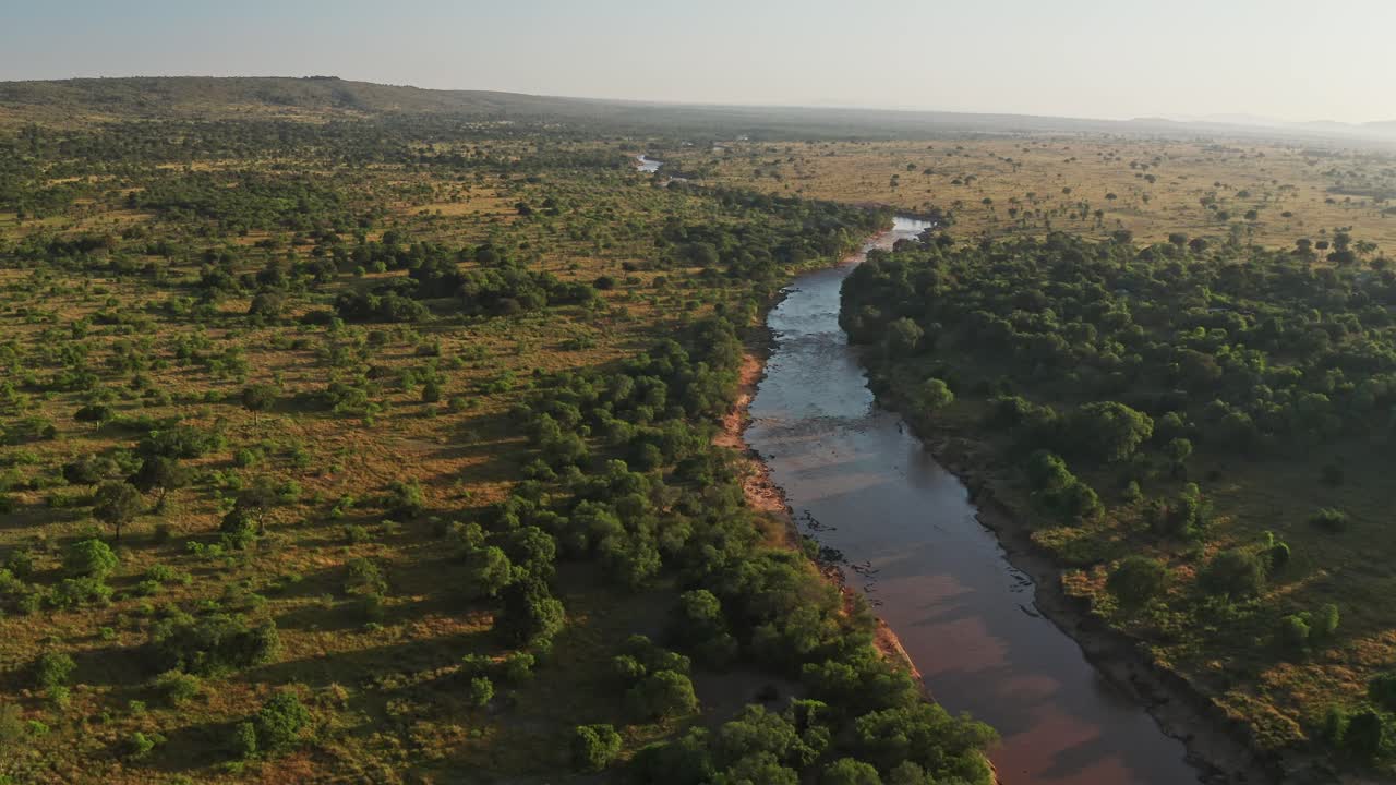 Masai Mara River Aerial drone shot of Landscape in Beautiful Golden Sun Light, Africa Scenery in Maasai Mara National Reserve in Kenya, Wide Establishing Shot with Greenery and Lush Green Trees