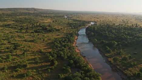 Drohnenaufnahme-Des-Masai-Mara-Flusses-Aus-Der-Luft-Einer-Landschaft-In-Wunderschönem-Goldenem-Sonnenlicht,-Afrikanische-Landschaft-Im-Masai-Mara-Nationalreservat-In-Kenia,-Breite-Aufnahme-Mit-Viel-Grün-Und-üppigen-Grünen-Bäumen