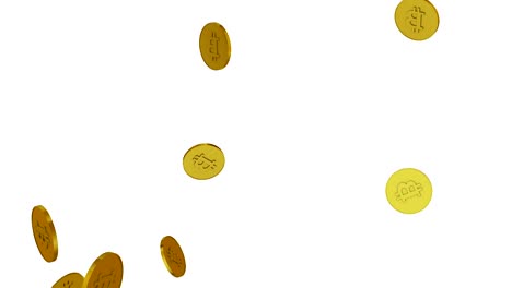 3d animation of falling golden bitcoins + alpha channel