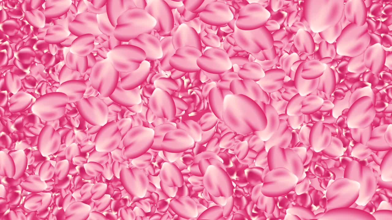 Pink roses petals background animation loop