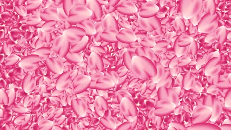pink roses petals background animation loop