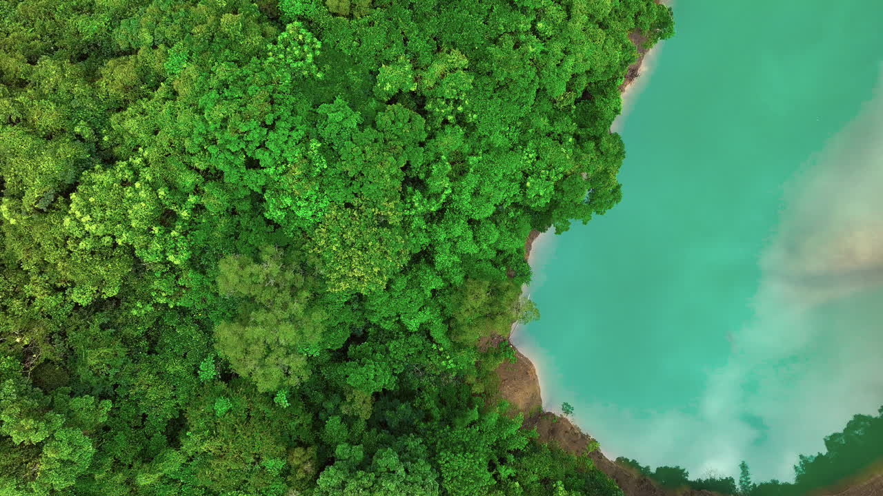 Aerial top down show showing green lake water and forest trees growing on hill in Taiwan