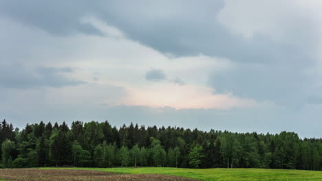 Timelapse:-Cielo-Nublado-Con-Bosque-Verde