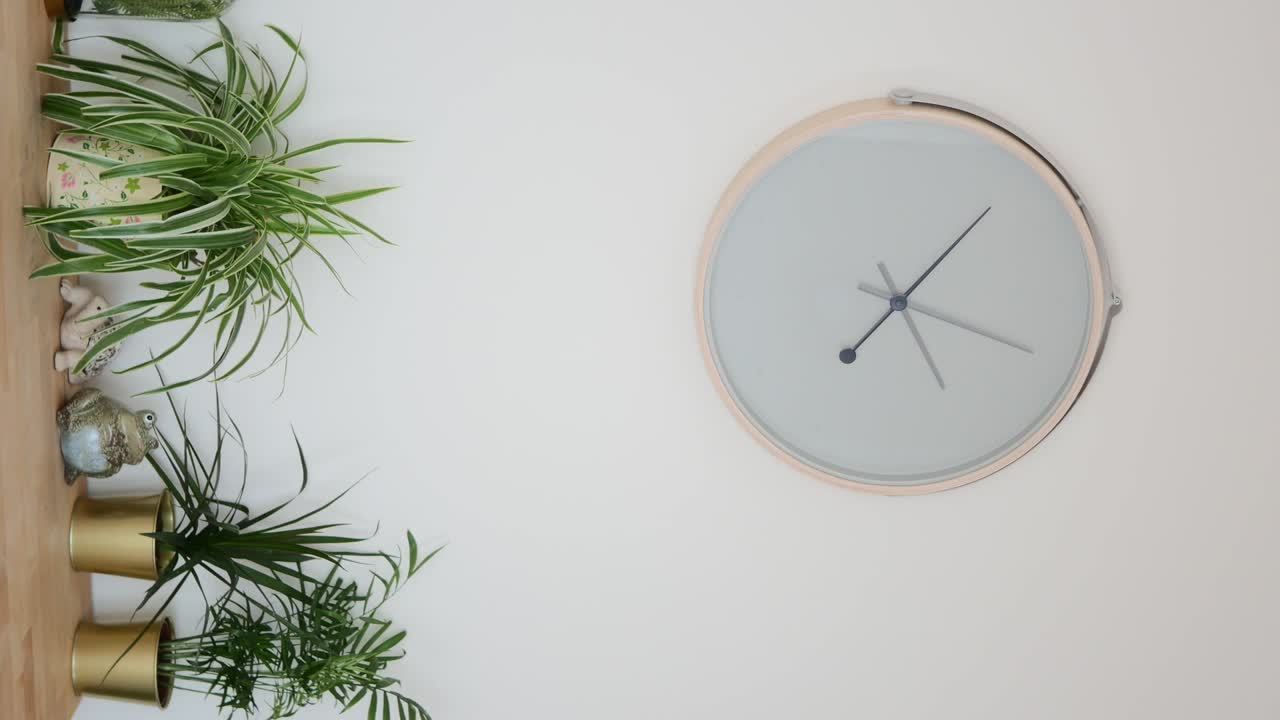 Clock and Plants on a Wall