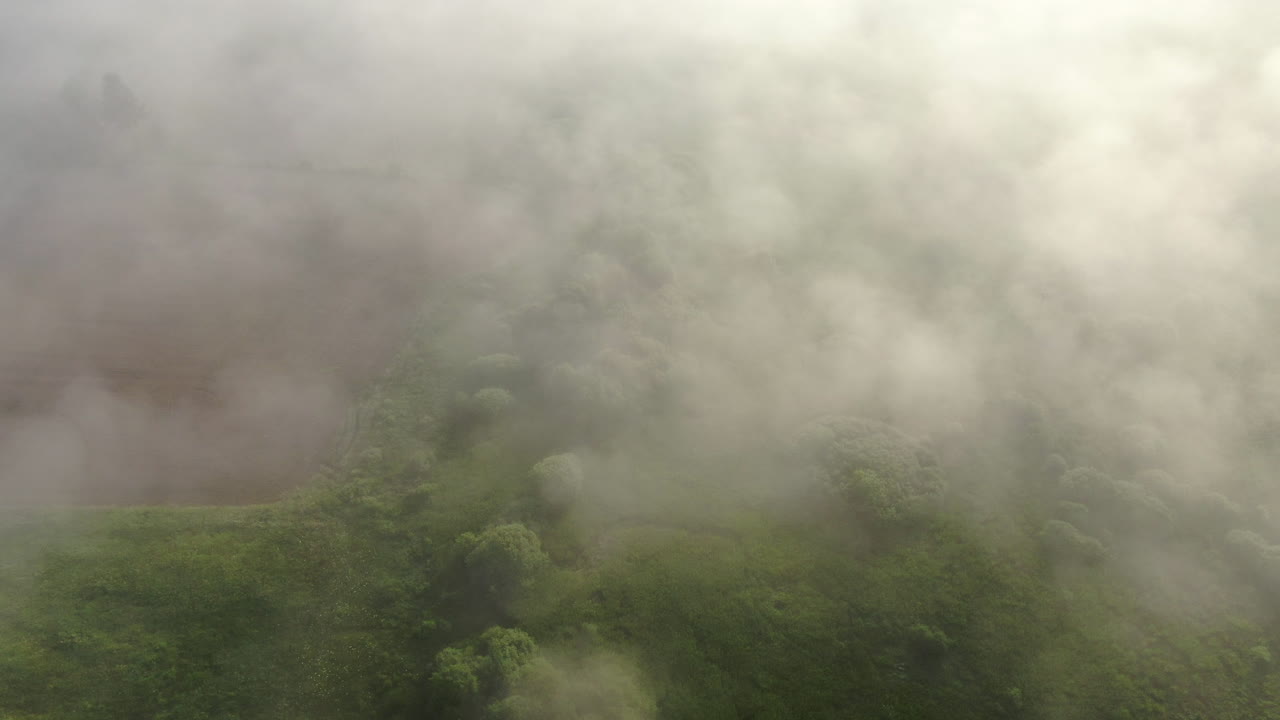 An aerial view of a green field with trees is partially obscured by low lying clouds or fog The scene has a hazy and somewhat ethereal quality