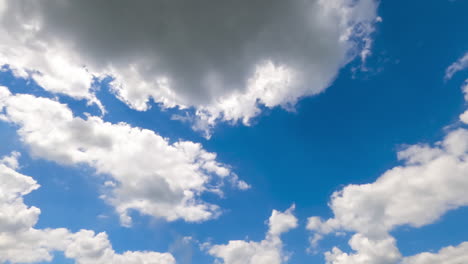 sunlit shining white clouds in the blue skies. sunny day footage. low angle view. timelapse.