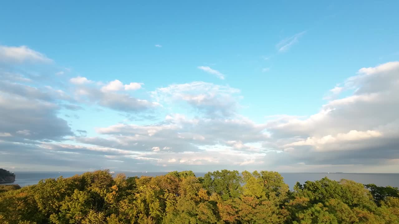 폴란드 그디니아(gdynia) 올로오(orlowo)의 고요한 해변이 있는 활기찬 울창한 숲