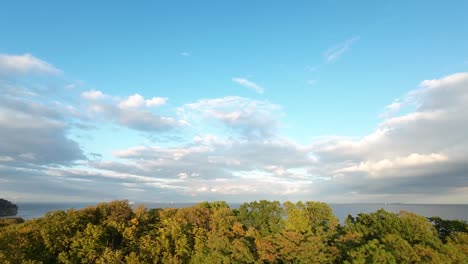 Lebendiger-Dichter-Wald-Mit-Ruhigem-Strand-In-Orlowo,-Gdynia-Polen