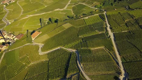 Drone-Disparó-Cámara-Lenta-Inclinada-Hacia-Arriba-Sobre-Los-Campos-De-Uva-De-Lavaux-Oron,-Wallis-Suiza-En-4k