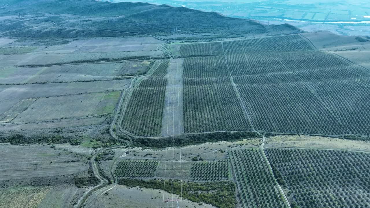 A panoramic view of sprawling agricultural land with clearly defined plots. The field divisions are apparent, with roads and borders marking distinct areas for crops or orchards.