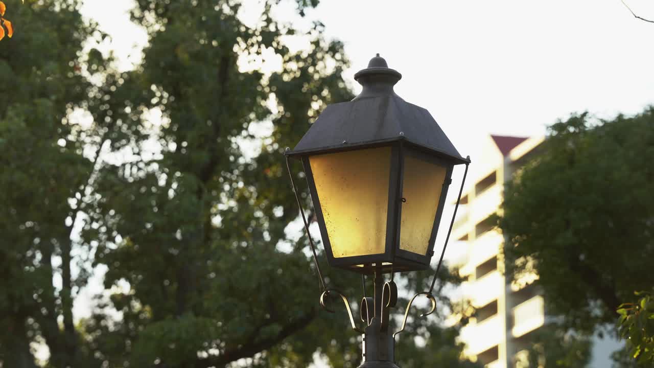 Luces de parque japonés durante el día