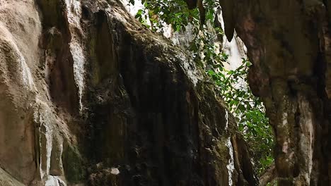 cave exploration in tropical forest