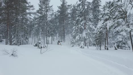 person snow scooter ride amidst forest during winter blizzard