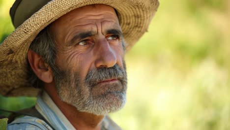 close up of an elderly farmer with a straw hat and a worried expression, standing in a vineyard, contemplating the harvest and the future of his farm