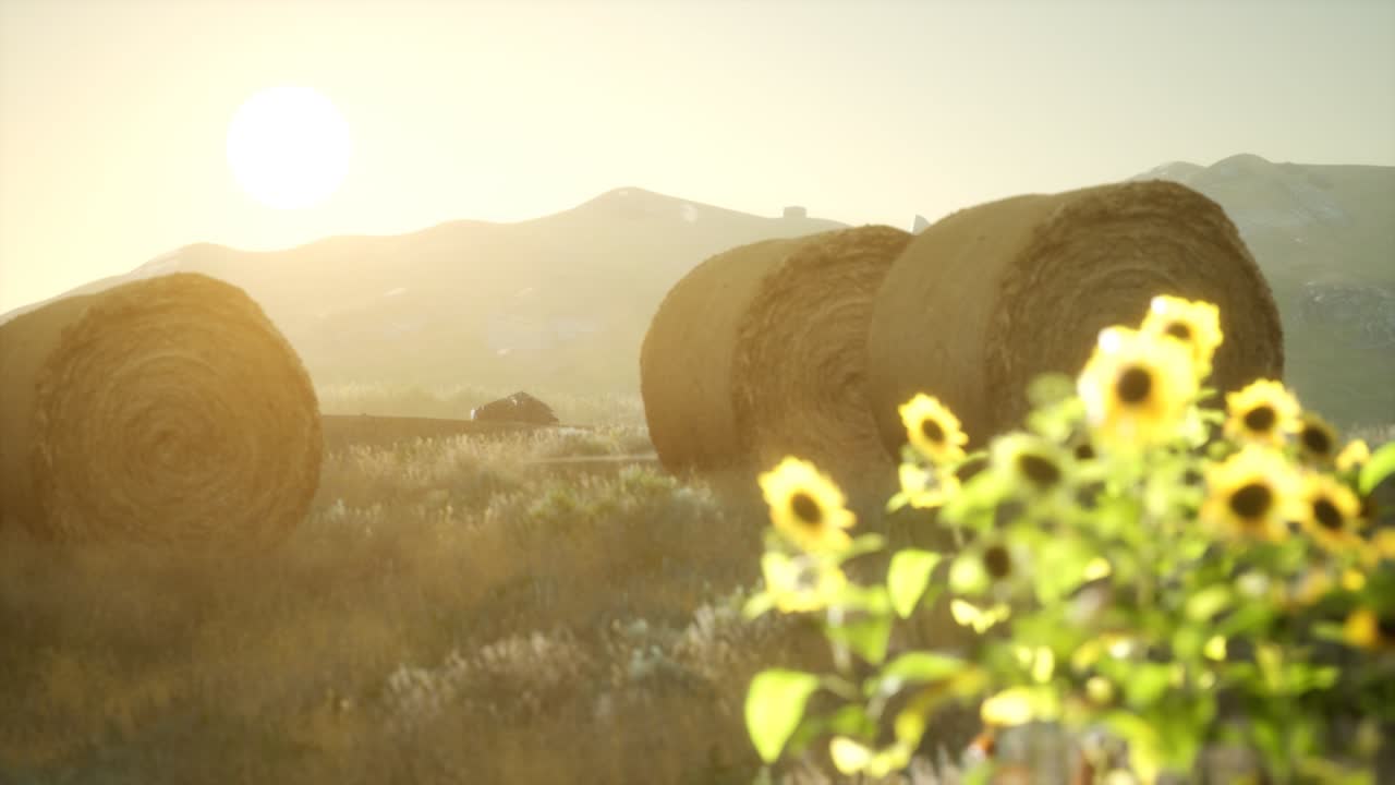 fardos de heno en la puesta de sol
