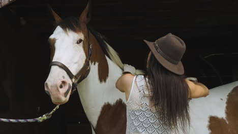 young attractive cowgirl grooms her pinto horse in a stable