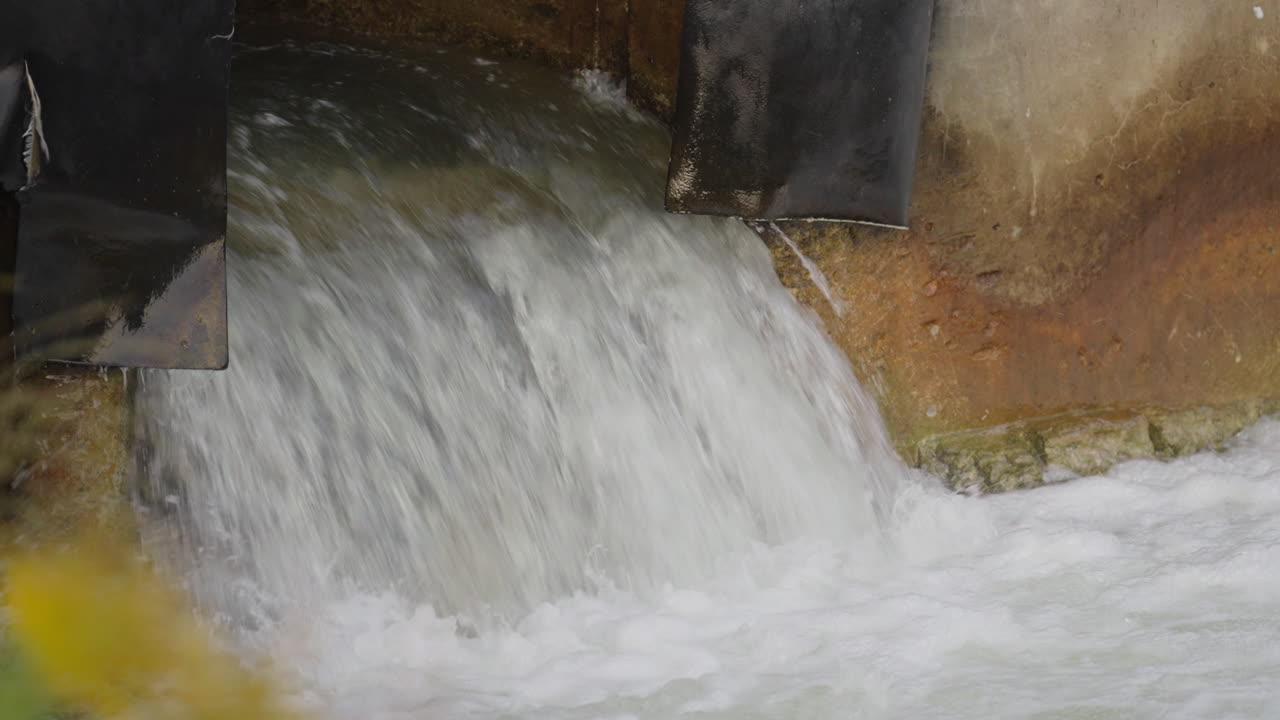 Slow motion salmon jump in Ganaraska River, Ontario, nature struggle scene