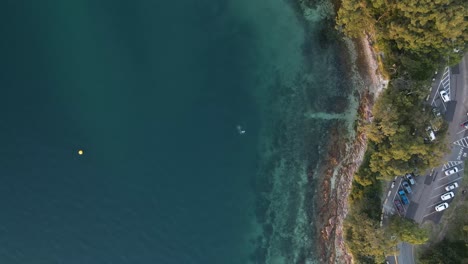 static high drone view looking down on a coastal headland next to a carpark and road with scuba divers in the water