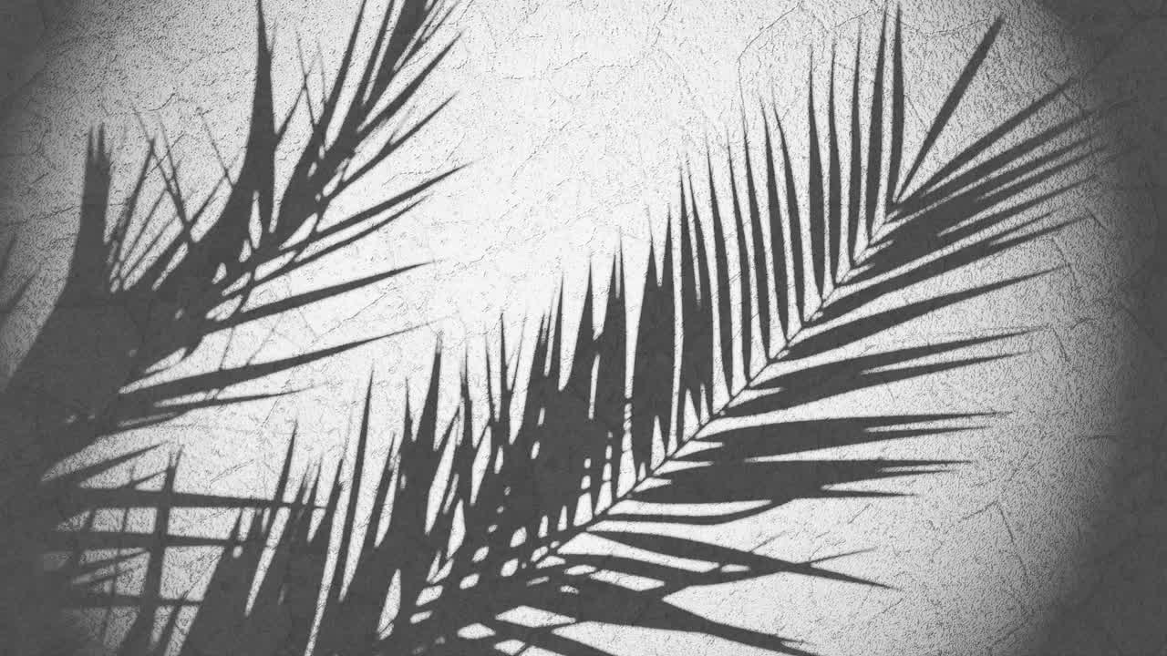 plant shade over wall moving from summer breeze , looping sequence 3d rendering animation grey background lighting
