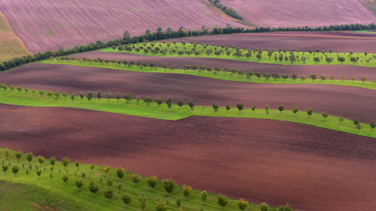 Aerial drone view of South Moravian fields and orchards in the Czech Republic during autumn, showing colorful rolling patterns, plowed textures, and picturesque seasonal farmland