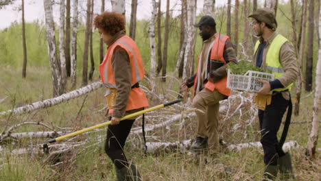 Vista-Lejana-De-Un-Grupo-De-Activistas-Ecologistas-Multiétnicos-Caminando-En-El-Bosque-Mientras-Sostienen-Herramientas-Y-árboles-Pequeños