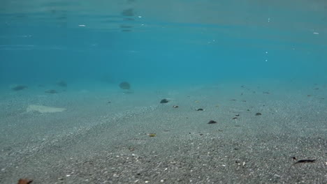 夏天在山上河流中釣<unk>魚