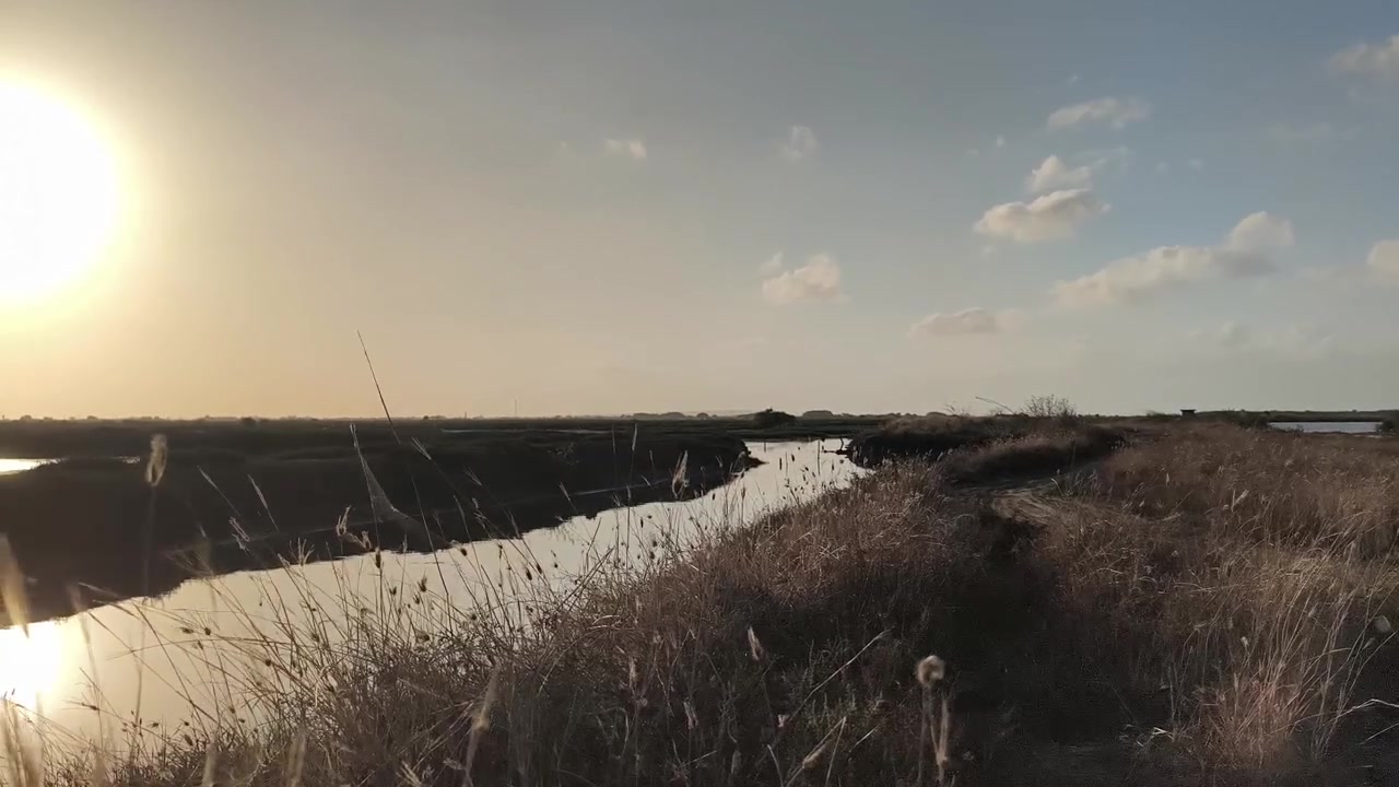 Golden Hour Sunset Over Calm Salt Marsh Landscape