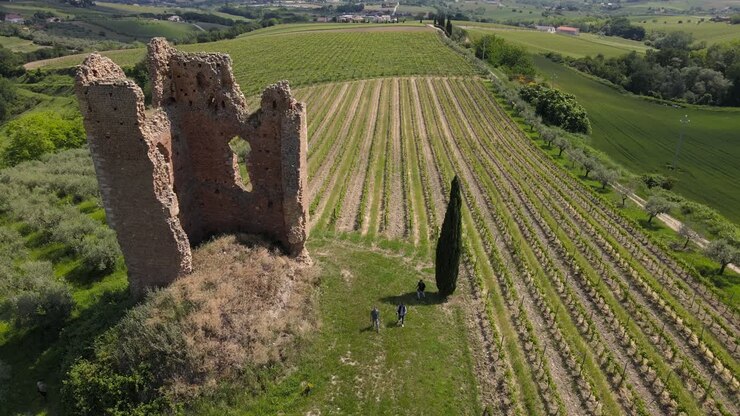 Wide angle drone shot panning downwards of workers walking in a vineyard with an ancient castle on the property located in the countryside of Abruzzo in Italy
