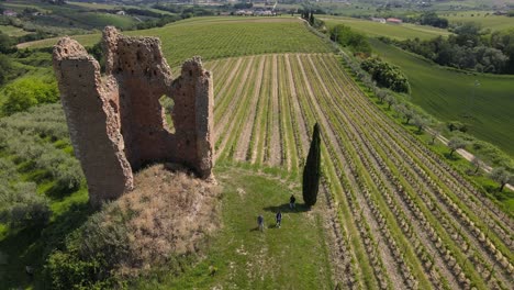 Weitwinkel-Drohnenaufnahme-Mit-Schwenk-Nach-Unten-Von-Arbeitern,-Die-In-Einem-Weinberg-Mit-Einer-Alten-Burg-Auf-Dem-Grundstück-In-Der-Landschaft-Der-Abruzzen-In-Italien-Spazieren