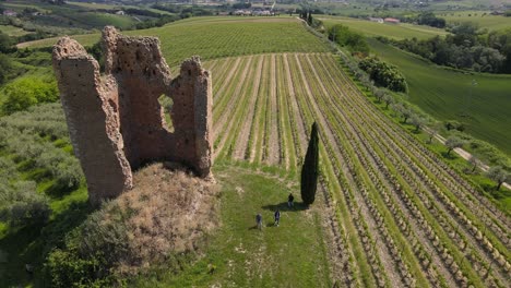 un dron de gran angular disparó hacia abajo a los trabajadores que caminaban en un viñedo con un antiguo castillo en la propiedad ubicada en el campo de los abruzos en italia