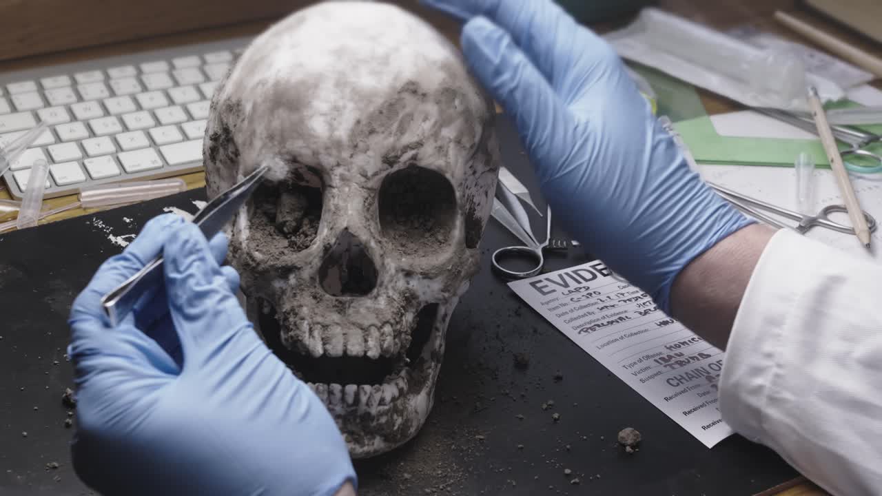 Forensic anthropologist takes evidence sample from human skull