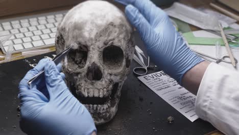 forensic anthropologist takes evidence sample from human skull