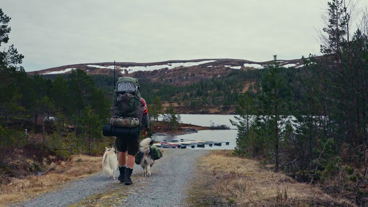 A Man and His Two Dogs Approach the Tranquil Shores of Reinsjøen in Åfjord, Trøndelag, Norway - Static Shot