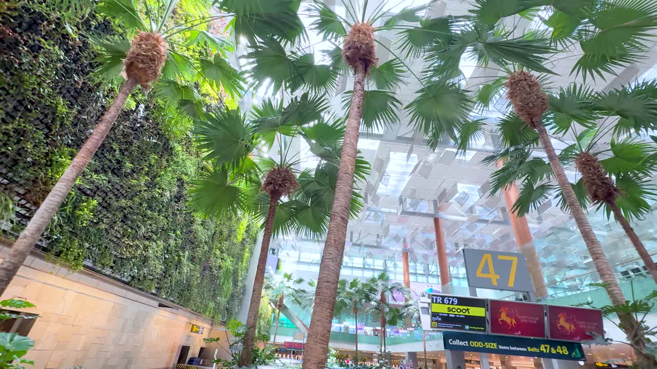 Inquadratura panoramica dal basso di un giardino verticale tropicale all'interno di un moderno terminal aeroportuale in vetro