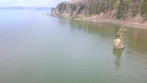 Volando-Por-Un-árbol-Solitario-En-Una-Isla-Rocosa-En-La-Bahía-Con-Un-Dron-1080p