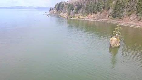 volando por un árbol solitario en una isla rocosa en la bahía con un dron 1080p