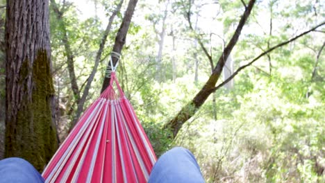 POV-Eines-Mannes,-Der-Sich-In-Einer-Hängematte-Entspannt,-Die-In-Den-Bäumen-In-Einem-Wald-Hängt