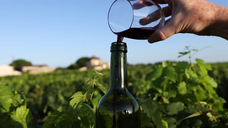 wine being poured into a bottle in vineyard