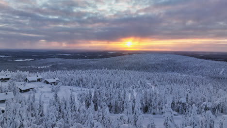 drone shot rising over snowy forest on top of fell, dramatic sunrise in lapland