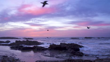 evening beach with rocks of the atlantic ocean. purple sky with picturesque clouds above water surface horizon in morocco
