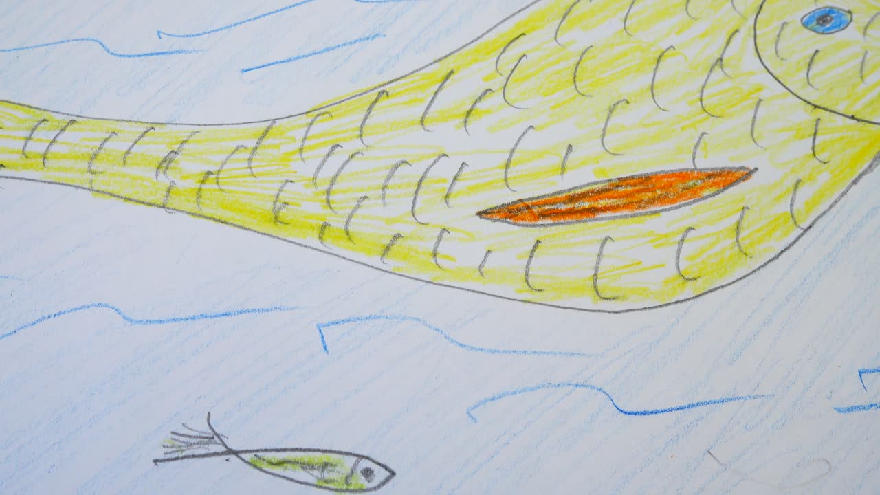 Pesci nell'oceano, il disegno