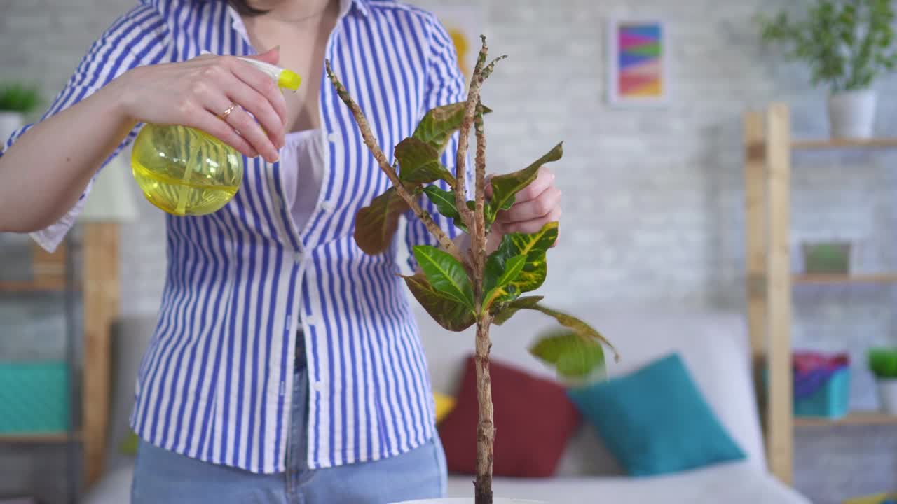 젊은 여성이 식물에 관심을 기울이고, 잎이 떨어집니다.