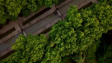 visita aérea a la cascada de la corriente de agua del jardín persa rodeada de altos árboles verdes en el patio en mahan kerman irán