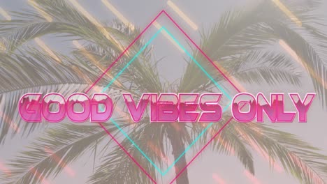 animation of the words good vibes only in pink with diamond and moving lines over sunlit palm tree