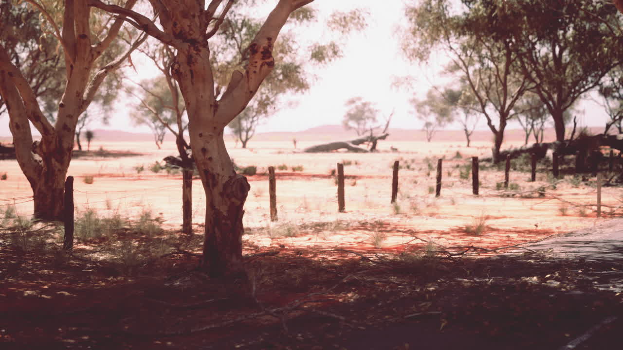 paisaje del desierto australiano