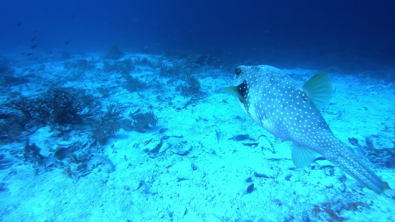 이  ⁇ 은 동반자가 필요없어