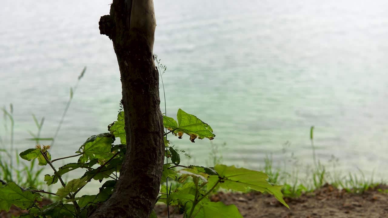 절벽 위의 마법 같은 장소