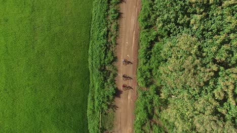 people mountain biking on a dirt road through rice paddies