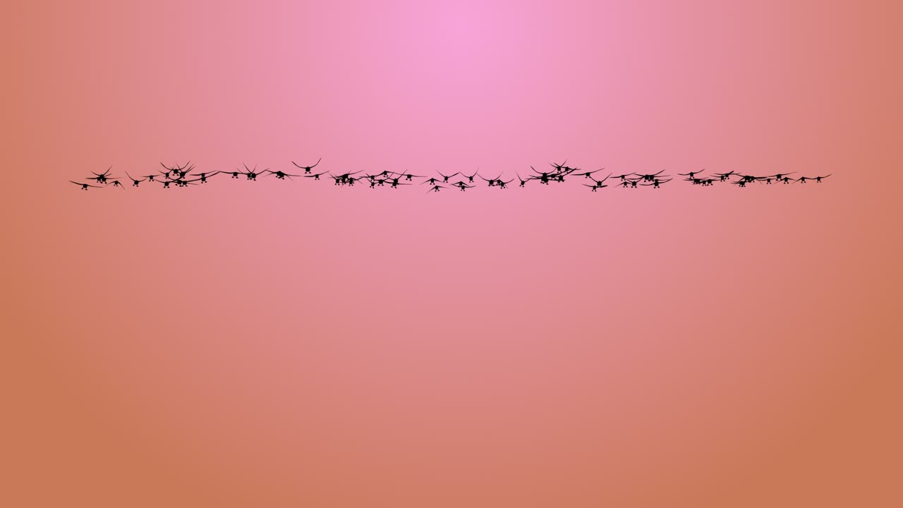 Beautiful flock of birds flying in the blue sky flying birds in the sky loop bacground animals